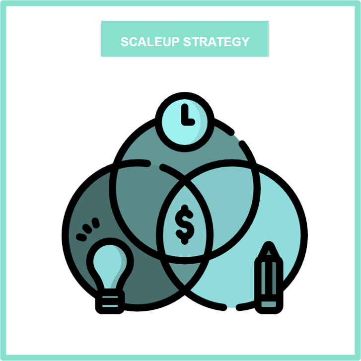 Copelco - Scaleup strategy